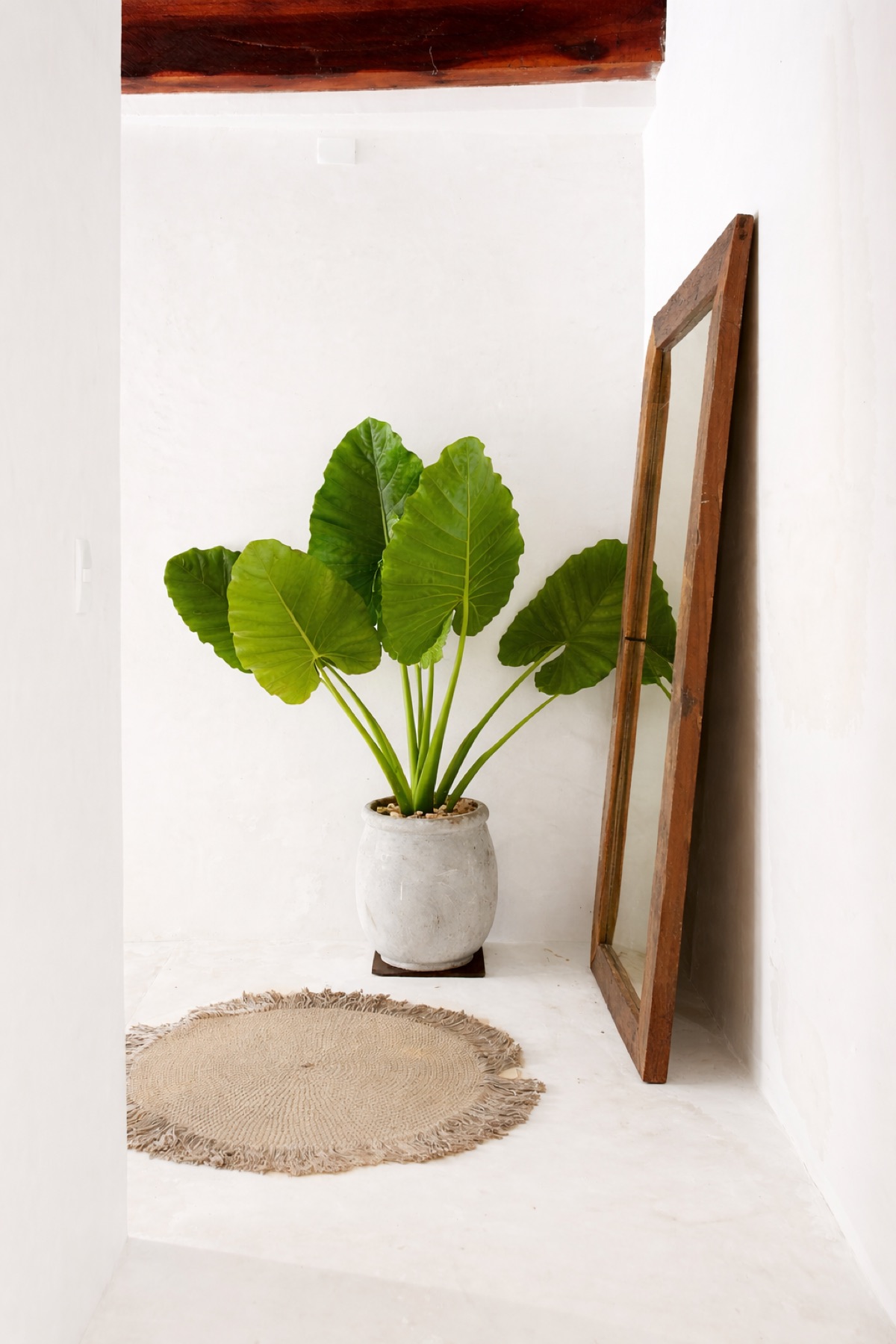 Casa Shanti tropical interior detail – Amansala Tulum