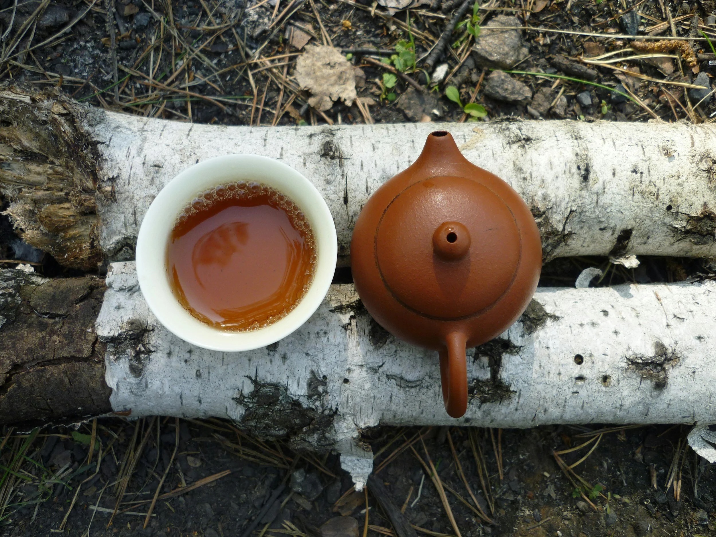 Transformative realm of the cacao ceremony and witness the transcendence of spirit