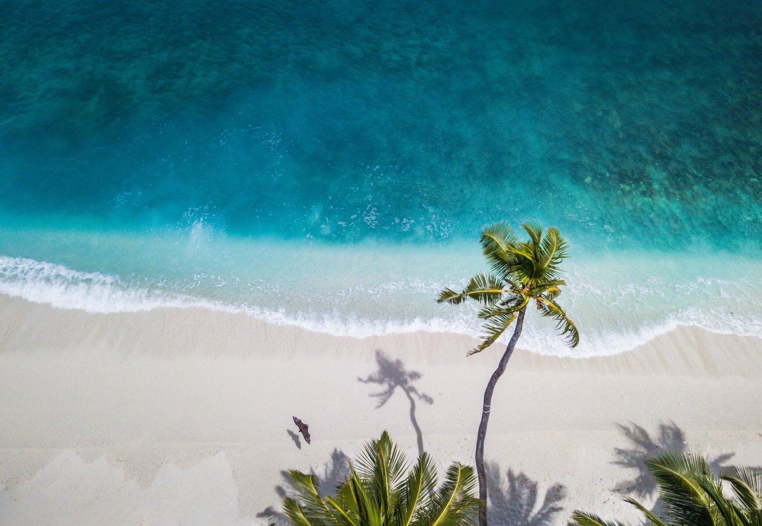 We bring you five compelling reasons why every woman should experience solo traveling