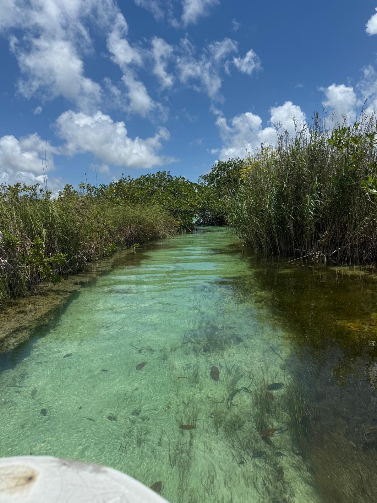 Adventure Tours — cenote, Mayan ruins