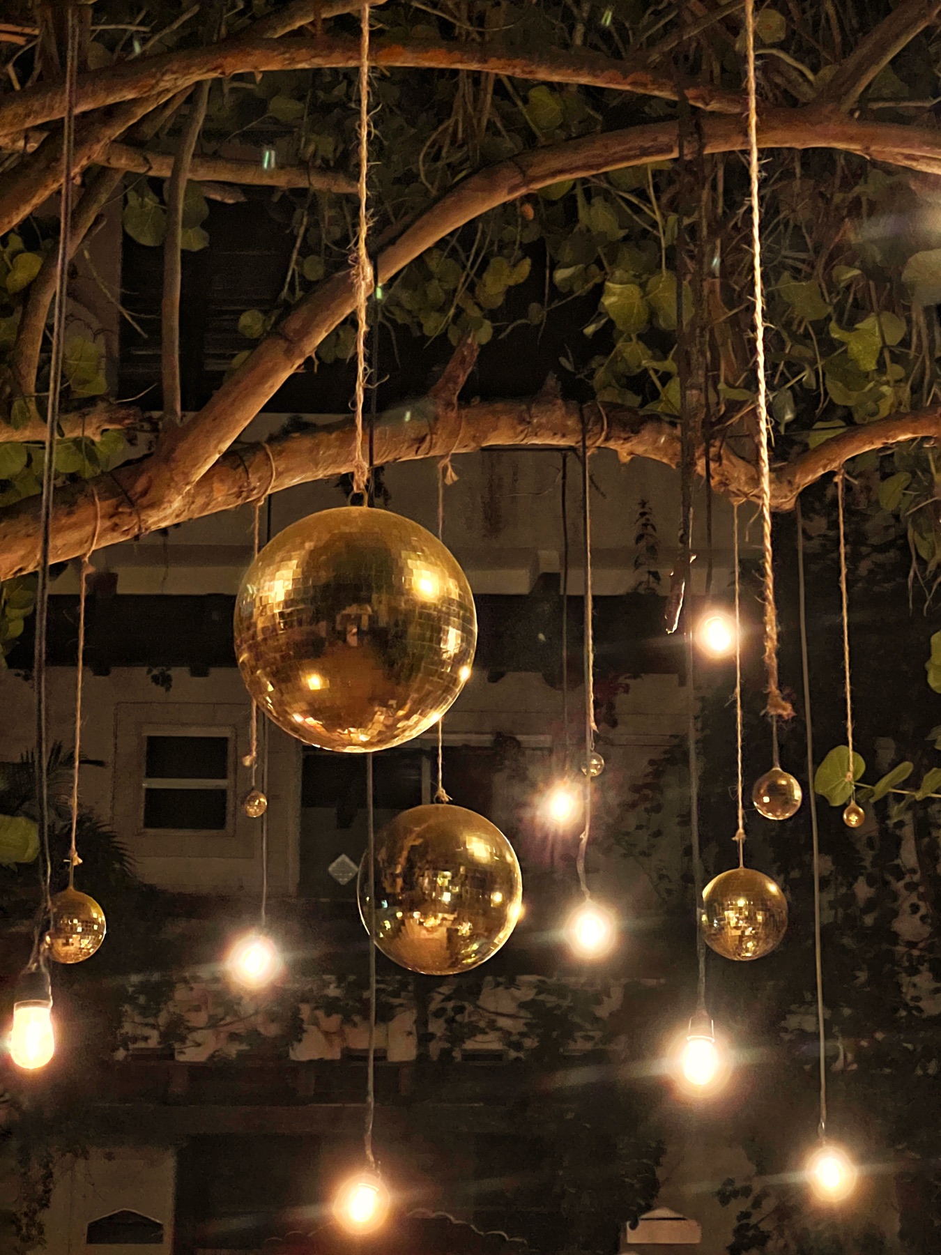 Gold disco balls in the jungle at night